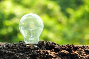 idea and energy concept Light bulb in soil
