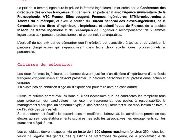 thumbnail of Ingénieuses 2022 – Fiche d’appel à candidatures femmes ingénieures