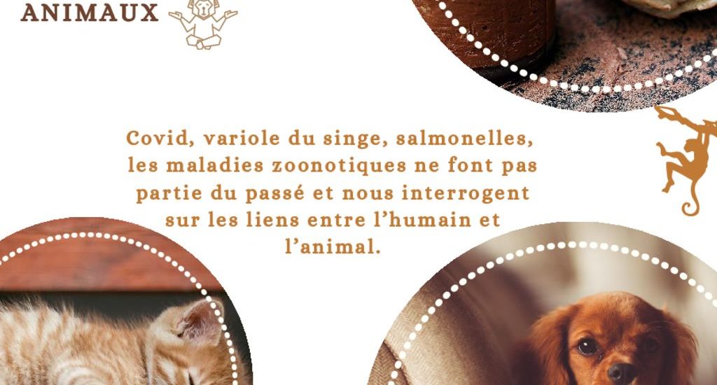 thumbnail of Du coq à l’humain les maladies qui nous lient aux animaux